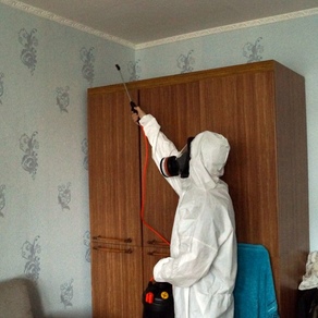 Борьба с клопами в домашних условиях – Казань