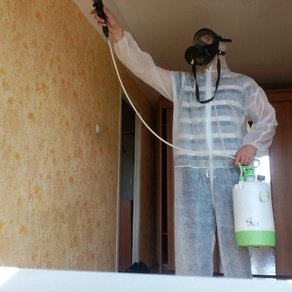 Уничтожение тараканов в квартире – цена в Казани