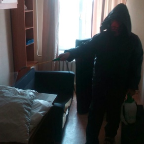 Выведение тараканов в квартире с гарантией в Казани