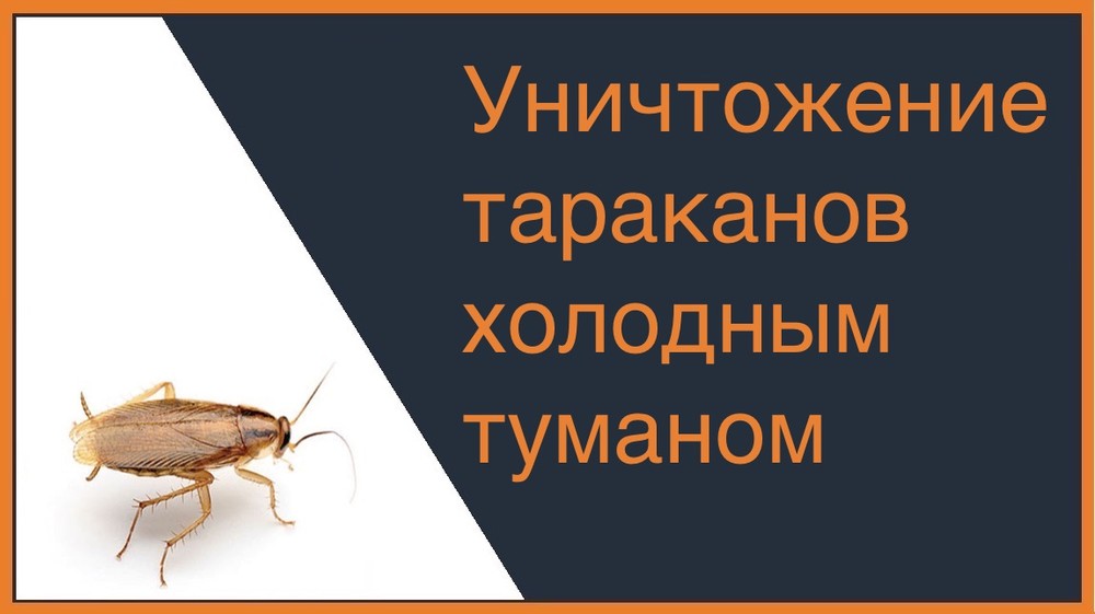 Уничтожение тараканов холодным туманом в Казани
