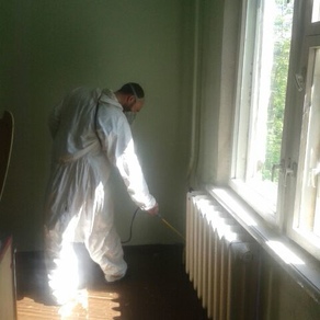 Уничтожить тараканов в квартире в Казани