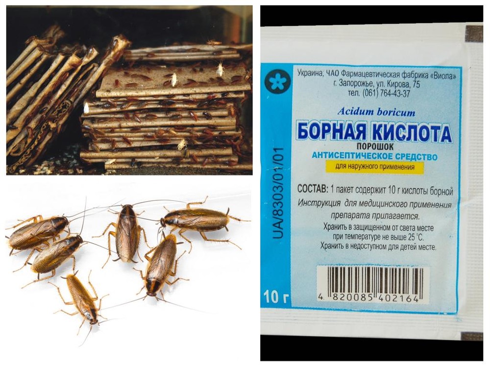 Средство от тараканов с борной кислотой